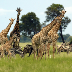 Viajes Sudafrica